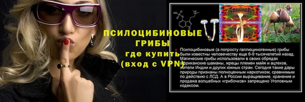 прущие грибы Мегион