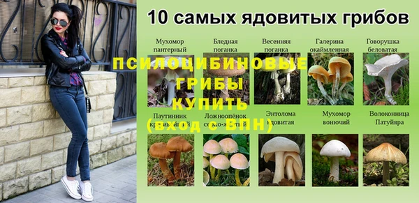 прущие грибы Мегион