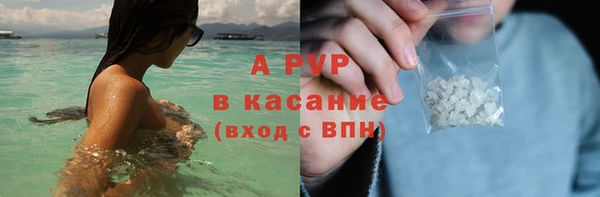 прущие грибы Мегион
