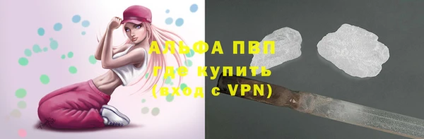 прущие грибы Мегион