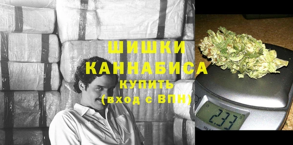 PSILOCYBIN Медногорск