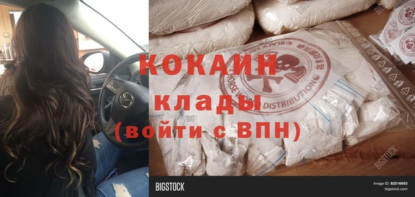прущие грибы Мегион