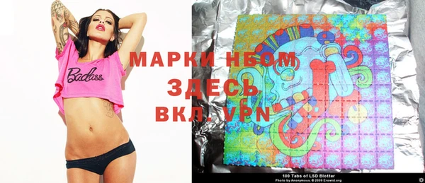 прущие грибы Мегион