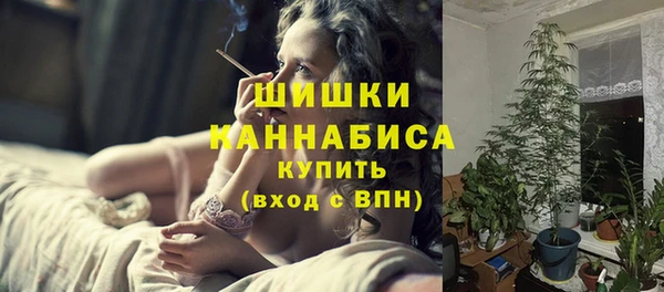 прущие грибы Мегион