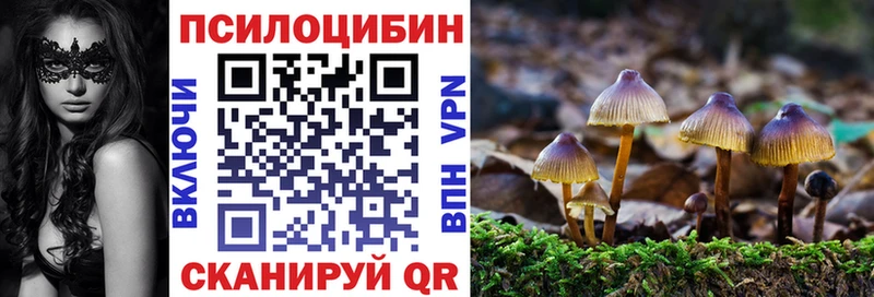 магазин  наркотиков  Белгород  mega маркетплейс  Псилоцибиновые грибы GOLDEN TEACHER 