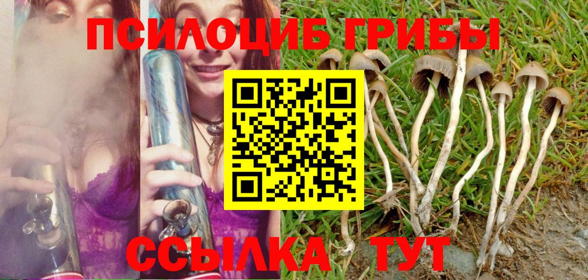 наркота  Белгород  Галлюциногенные грибы Magic Shrooms 